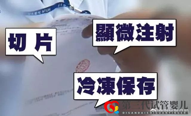 台湾第一美女林志玲做第三代试管婴儿上热搜想龙凤胎走起来(图5)