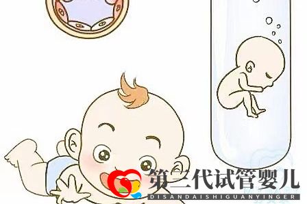 取卵多为什么可移植胚胎数不多?卵泡和试管成功率的关系(图1) 取卵多为什么可移植胚胎数不多?卵泡和试管成功率的关系(图1)
