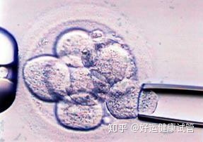 三代试管知男女的必经之路—胚胎活检术(图3)