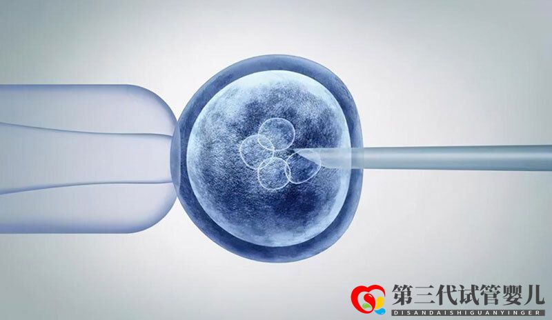 泰国第三代试管婴儿如何避免胎儿畸形(图1) 泰国第三代试管婴儿如何避免胎儿畸形(图1)
