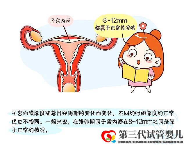 子宫内膜薄做试管婴儿成功率大吗？看专家怎么说(图1)