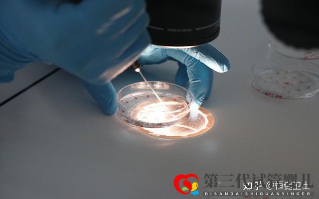 做三代试管大约多少钱一次(图4) 做三代试管大约多少钱一次(图4)