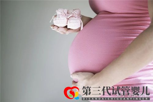 试管移植的成功率一般能有多少(图2) 试管移植的成功率一般能有多少(图2)