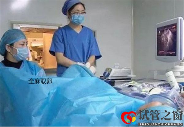 关于试管婴儿全麻取卵的常见知识有哪些(图1) 关于试管婴儿全麻取卵的常见知识有哪些(图1)