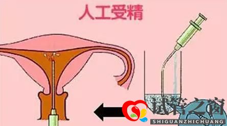 试管之窗:试管婴儿与人工授精的区别是什么，成功率分别是多少？(图1)