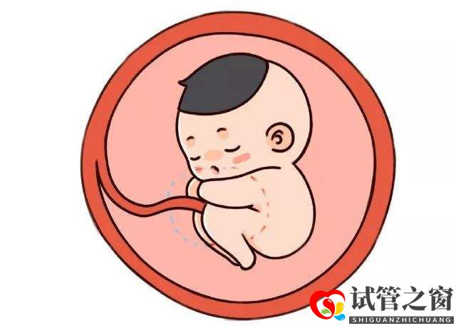 试管之窗:37岁还能做试管婴儿，能成功怀上宝宝吗？(图1)