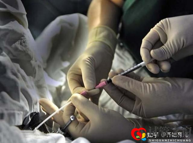 6年试管经历告诫女性别轻易做试管婴儿(图11) 6年试管经历告诫女性别轻易做试管婴儿(图11)