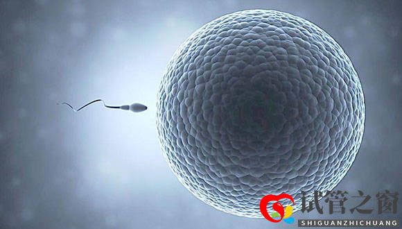 试管之窗:3点告诉你什么样的精子才符合试管婴儿的使用标准(图1)