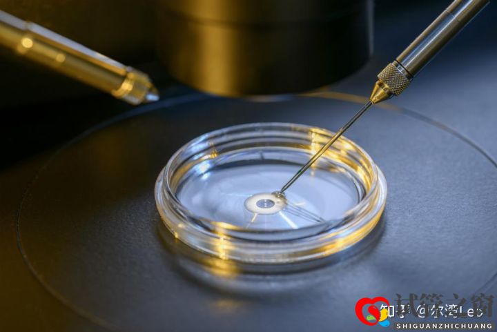 试管婴儿最详细分步指南(图6) 试管婴儿最详细分步指南(图6)