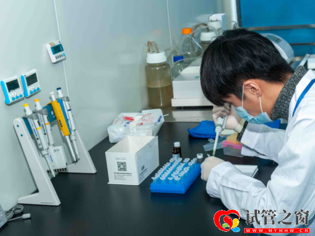 驻马店人工授精医院排名揭晓，哪家好得看最新助孕成功率(图1)