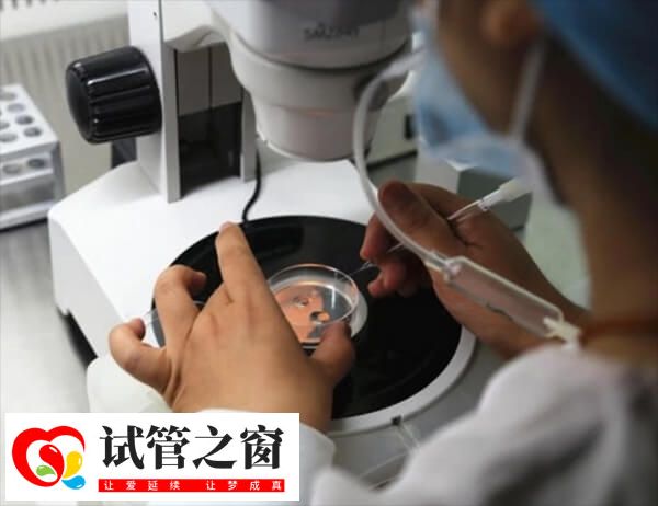 胚胎质量一般也可以选择重新促排