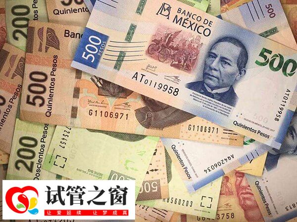 安顺医院做试管收费不贵