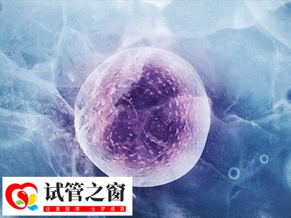 冻胚移植成功率约40%-50%不等
