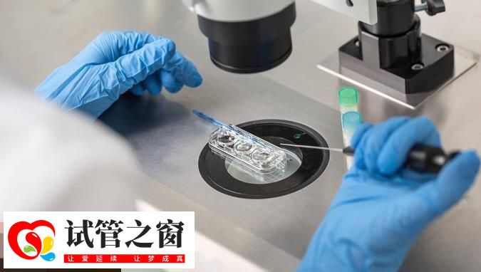 试管移植成功后大概3个月后稳定