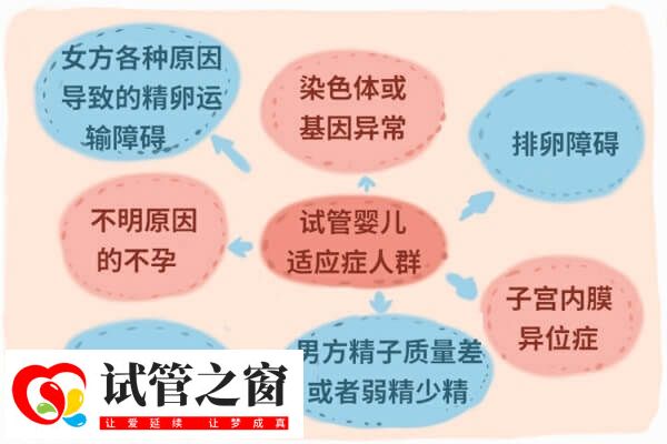 国内做第三代试管婴儿有哪些条件