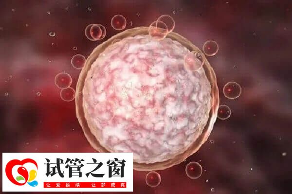 达菲林降调成功卵泡是多大(图2) 有多个大小<5mm的卵泡则达菲林降调成功