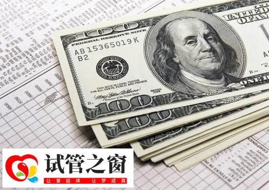 拉拉美国试管费用