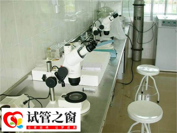 一级胚胎养囊失败可能与实验环境有关