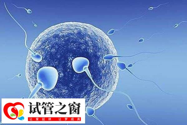 试管婴儿短方案和拮抗剂方案除了促排时间不同还哪些区别?(图1) 短方案与拮抗剂方案区别在用药和时间上面