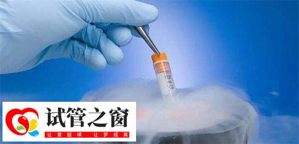 拮抗剂方案中冻胚移植比鲜胚移植好