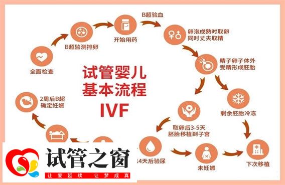 三代试管婴儿基本流程步骤