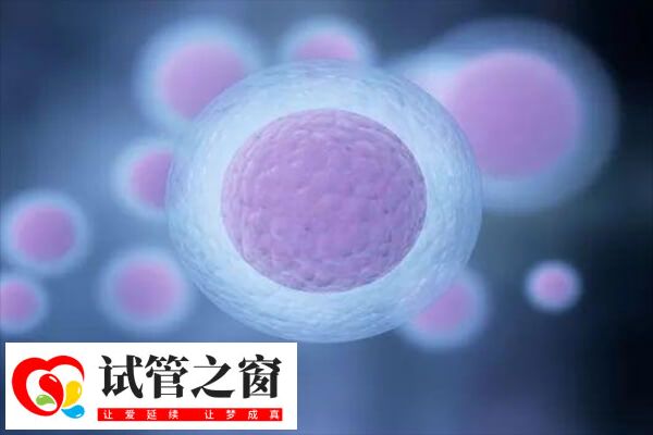 促排卵少与卵巢功能差有关