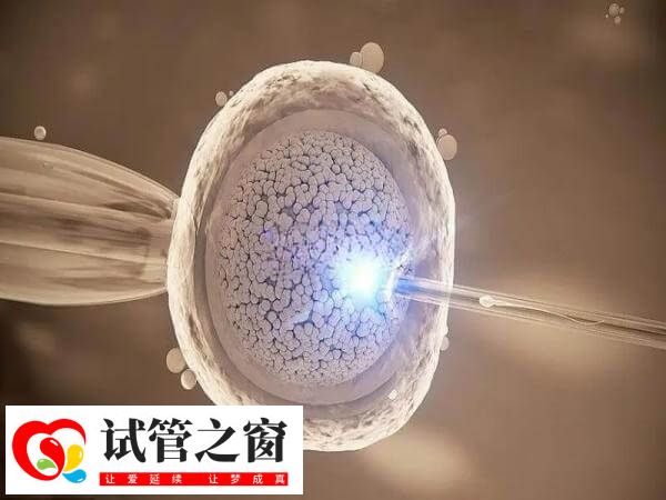 补救ICSI的主要目的是提高受精率