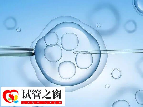 ppos促排卵方案的优势是用药副作用小,弊端是什么?(图1) ppos促排ppos促排对女性身体损伤很小