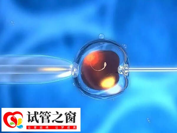 人工授精失败转试管婴儿需要重新检查和建档吗?(图1) 做试管婴儿需要建档
