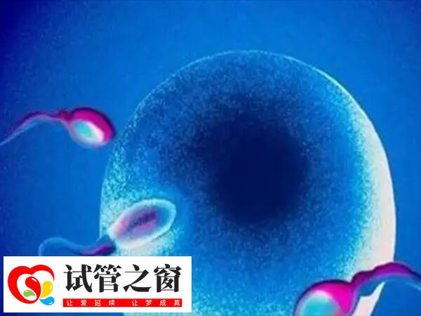 高龄女性自然受孕几率小