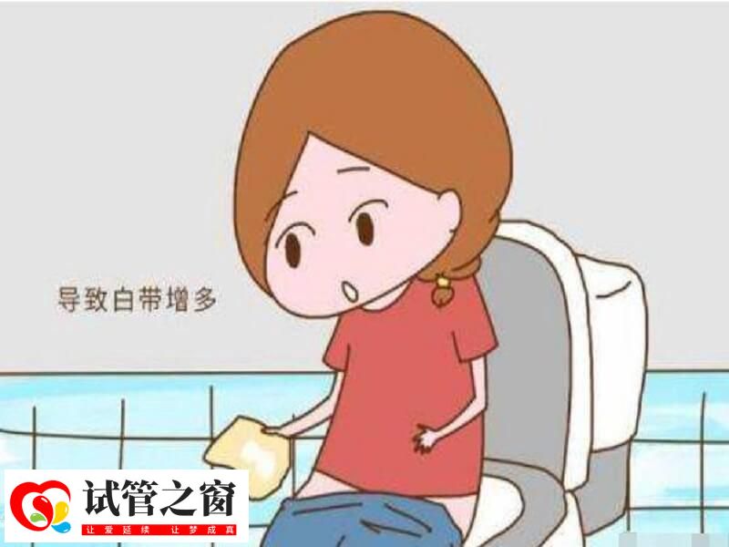 成功怀孕后白带会不会增多(图1) 成功怀孕后白带会增多