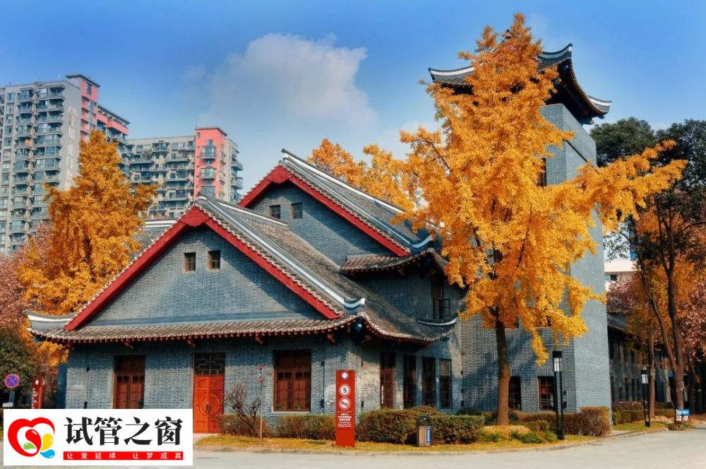 4000万父母排队去成都“造人”(图6) 4000万父母排队去成都“造人”(图6)