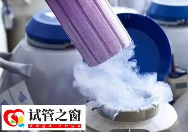 试管移植后剩余的胚胎怎么处理(图1) 试管移植后剩余胚胎可以进行冷冻保存