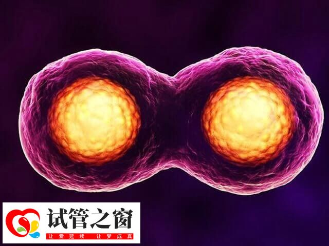 在徐州市中心医院做试管助孕,hiv患者需多少费用?(图1) panHqYpgU81716610522499.jpg