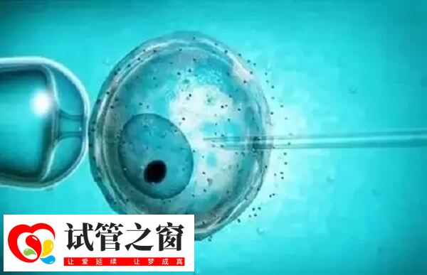 胚胎形态不规则的原因是比较多的