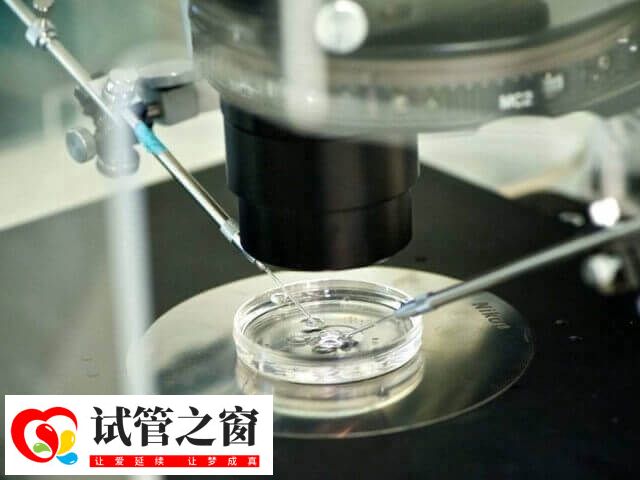 高龄女性不能自然怀孕适合做几代试管婴儿(图1) 高龄女性适合一代试管婴儿