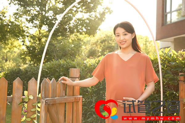 试管之窗 试管之窗