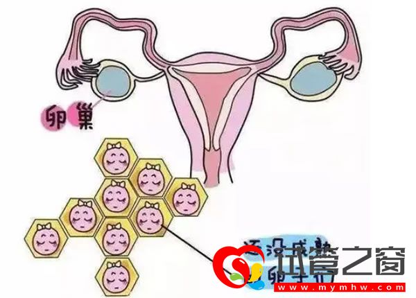 试管之窗 试管之窗