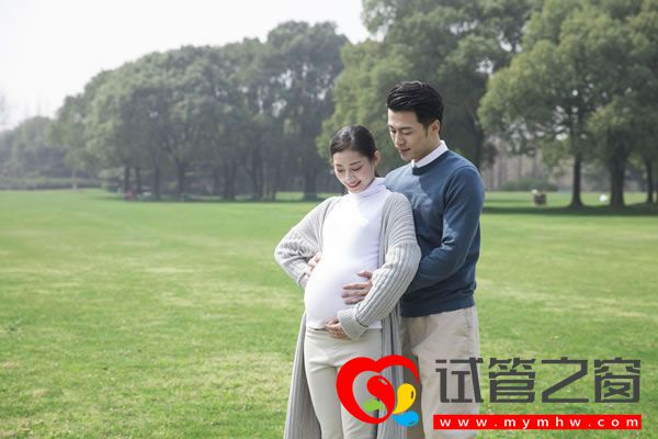 试管之窗 试管之窗