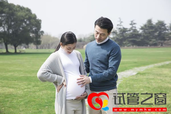 试管之窗 试管之窗
