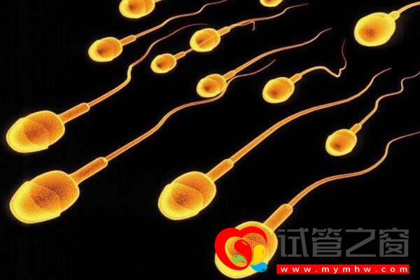 试管之窗 试管之窗