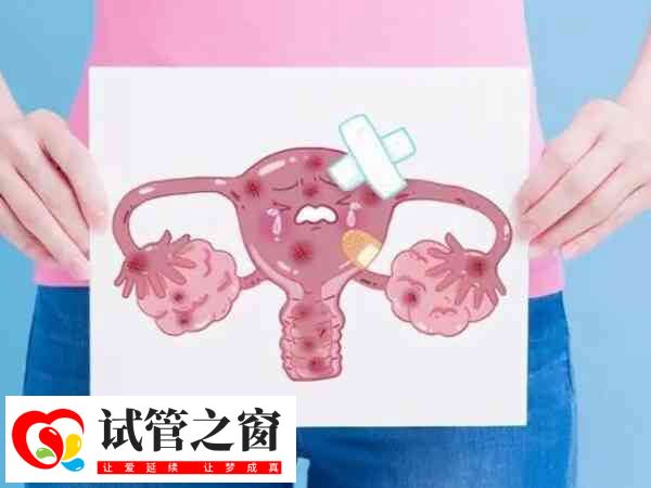 子宫内膜过薄会影响生育