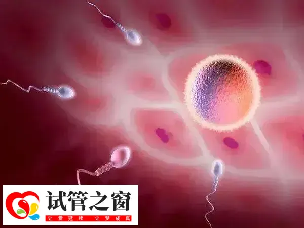 移植后腹部有刺痛感什么原因(图1) 胚胎着床过程中可能会有少量出血
