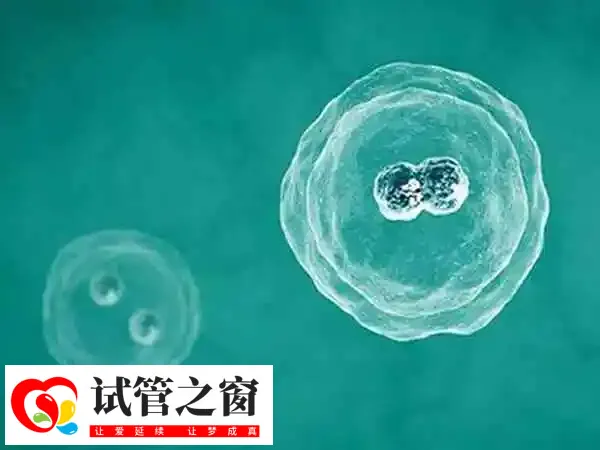 试管婴儿精卵不结合是什么原因(图1) 做试管精子的质量是比较重要的