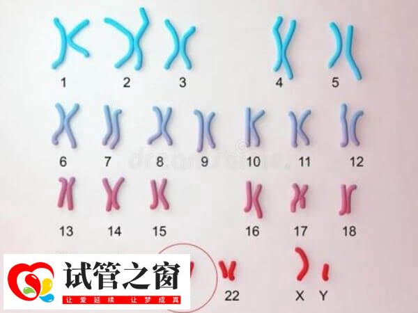 胚胎整倍体+16是什么意思(图1) 正常情况下有46条染色体