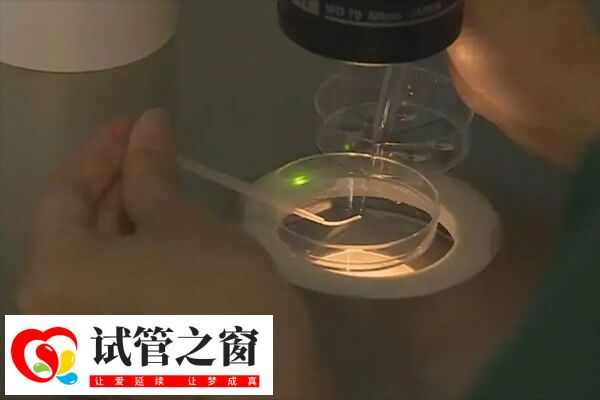 试管婴儿一次放几个胚胎好(图2) 两个胚胎移植是试管治疗的一种选择